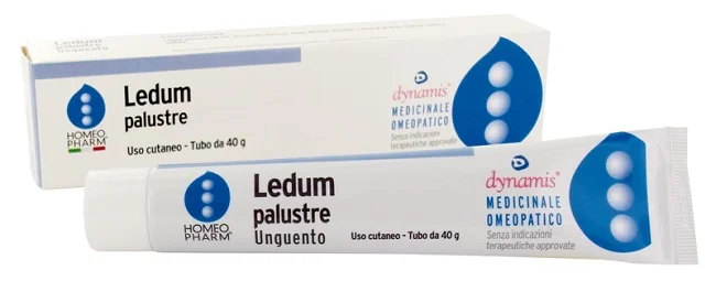 LEDUM PALUSTRE HOMEOPHARM UNG