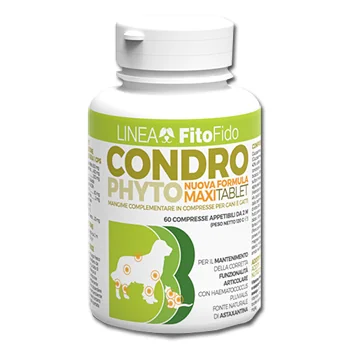 CONDROPHYTO 60 COMPRESSE 2 G