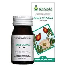 ROSA CANINA 60 CAPSULE