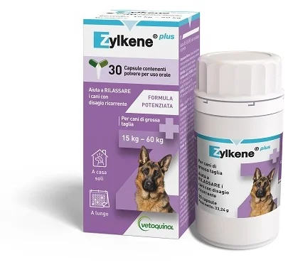 ZYLKENE PLUS CPS CAN15/60 30