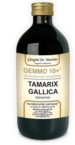 TAMERICE 500ML ANALCO GEMMO10+