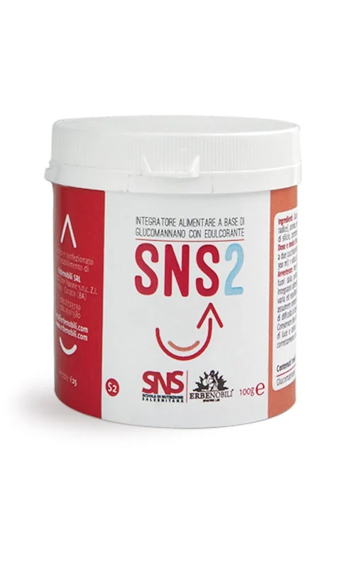 SNS2 100G