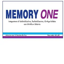 MEMORY ONE 12BUST