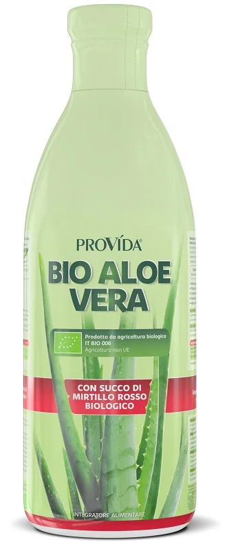 PROVIDA BIO ALOE MIRTILLO 1 LITRO