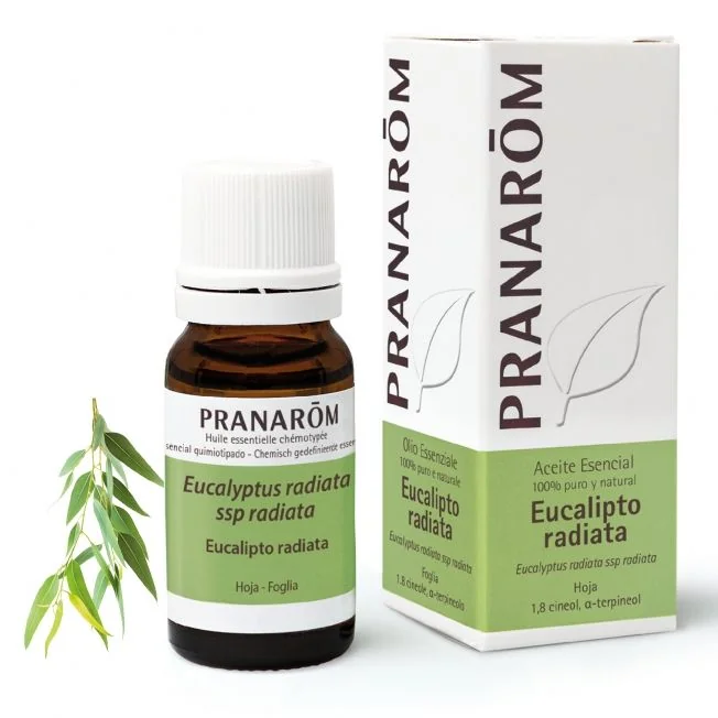 PRANAROM OE EUCAL RADIATA 10ML