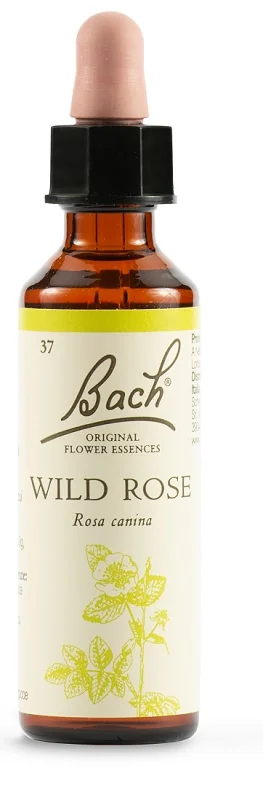 SCHWABE FIORI DI BACH 36 WILD ROSE GOCCE 20 ML