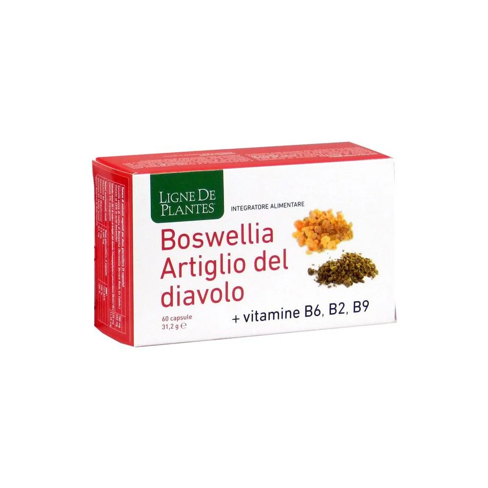 BOSWELLIA ARTIGLIO DIAVOLO VITAMINE B2 B6 B9 60 CAPSULE