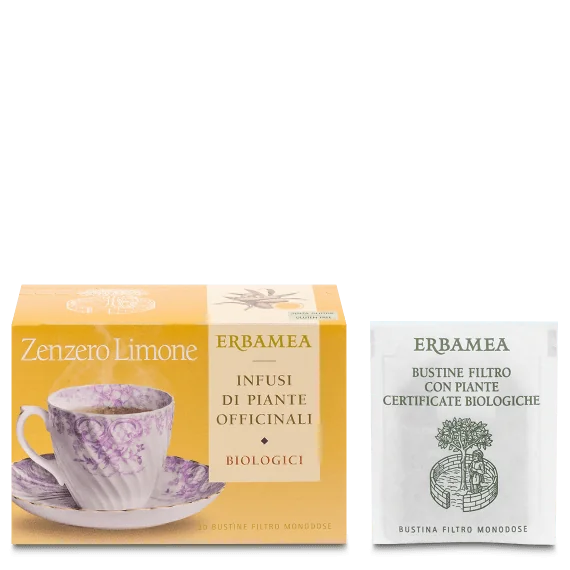 ERBAMEA ZENZERO&LIMONE TISAN BIO 20 FILTRI