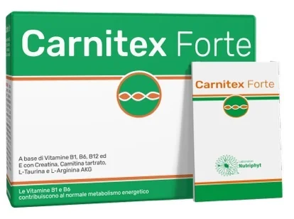 CARNITEX FORTE BUSTE 14 5G