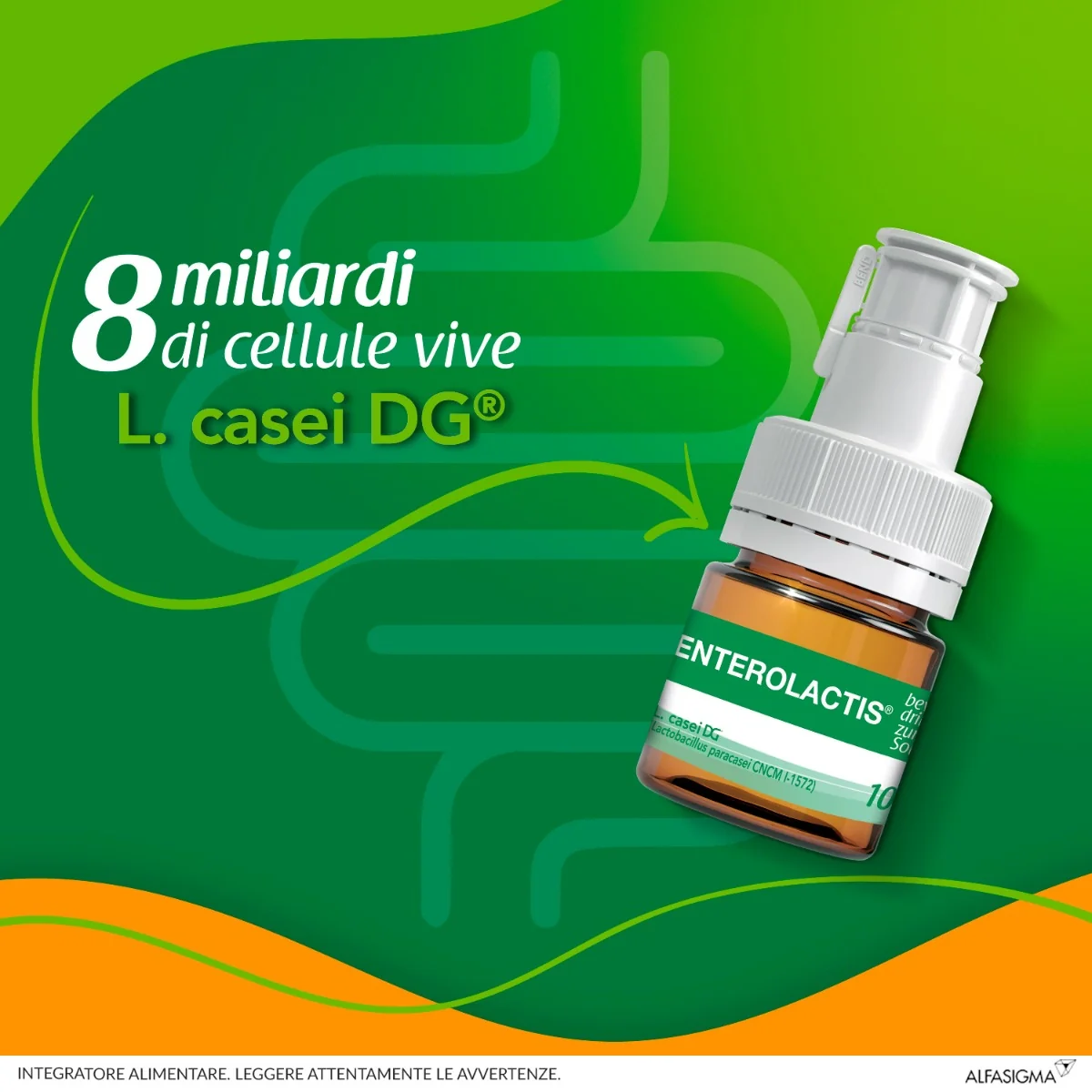 Enterolactis Bevibile 12 Flaconcini x 10 ml Integratore fermenti Lattici