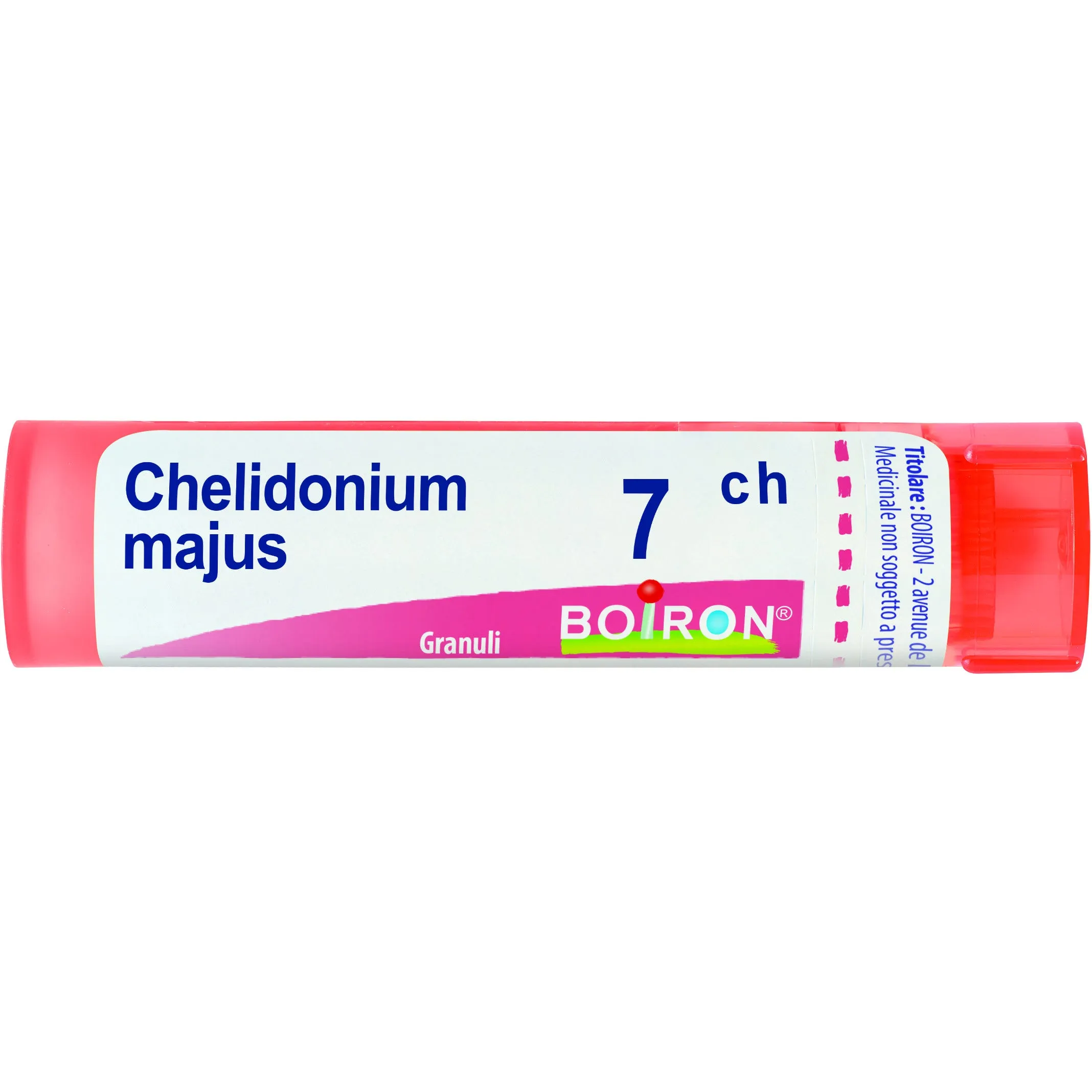 Chelidonium Majus 7 Ch 80 Gr 4 G 