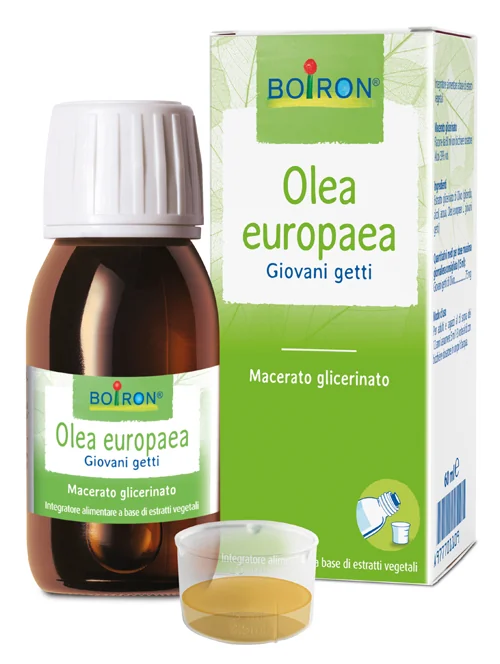 BOIRON OLEA EUROPAEA GIOVANI GETTI INTEGRATORE DI ESTRATTI VEGETALI 60 ML