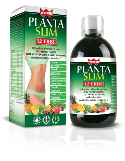 WINTER PLANTA SLIM 12ERBE500ML