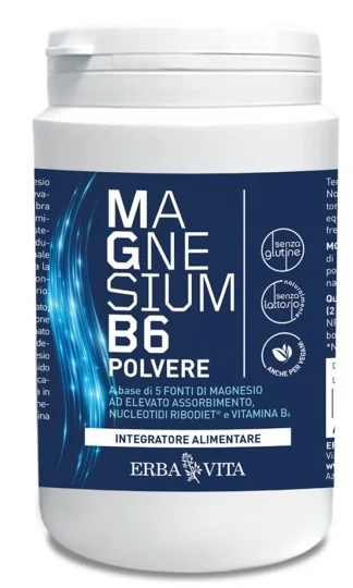 MAGNESIUM B6 POLV 200 G