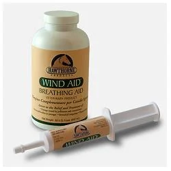 WIND AID SCIROPPO 947 ML