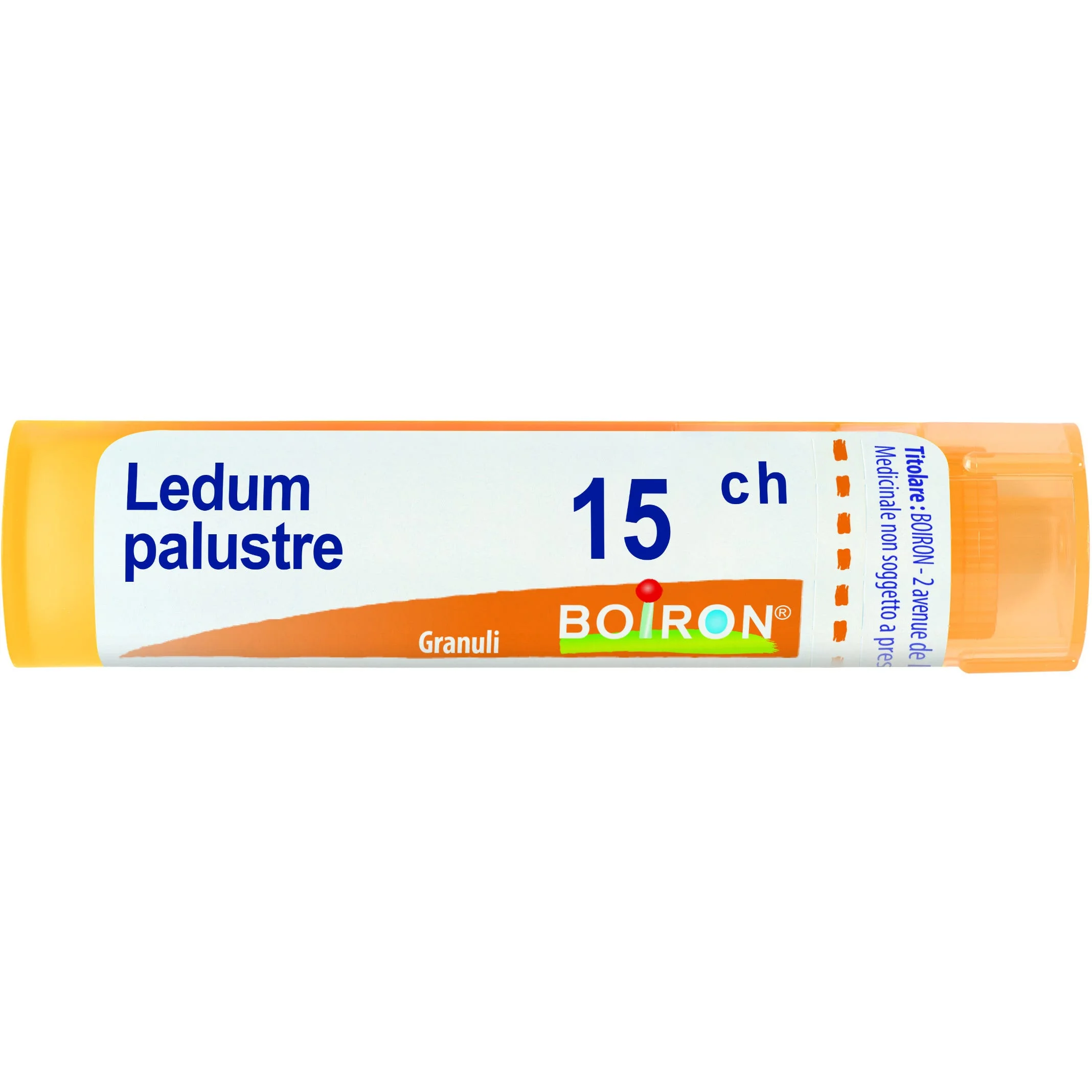 LEDUM PALUSTRE 15CH gr