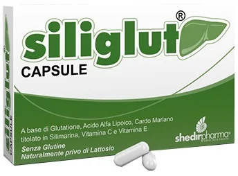 SILIGLUT INTEGRATORE 20 CAPSULE