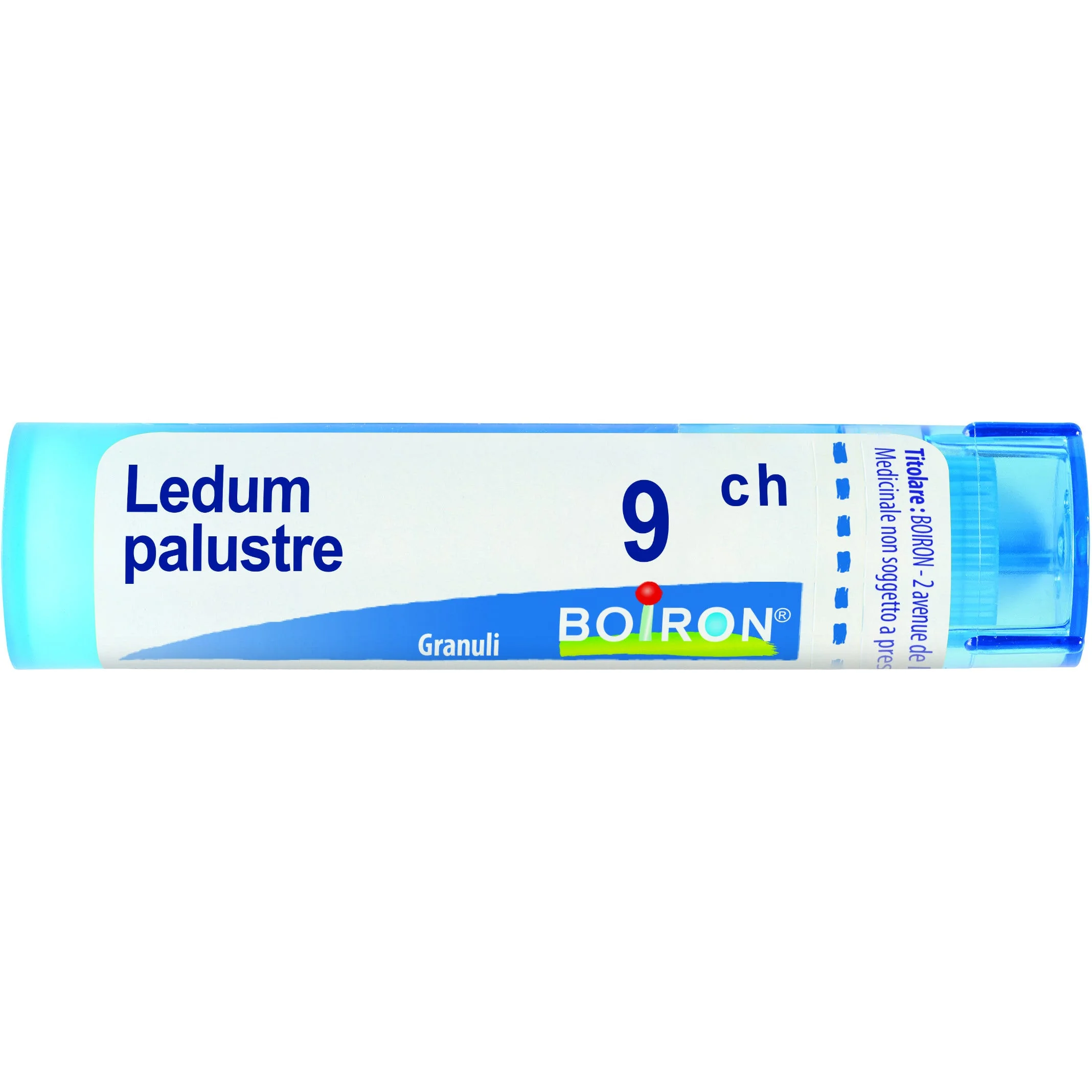 LEDUM PALUSTRE 9CH gr