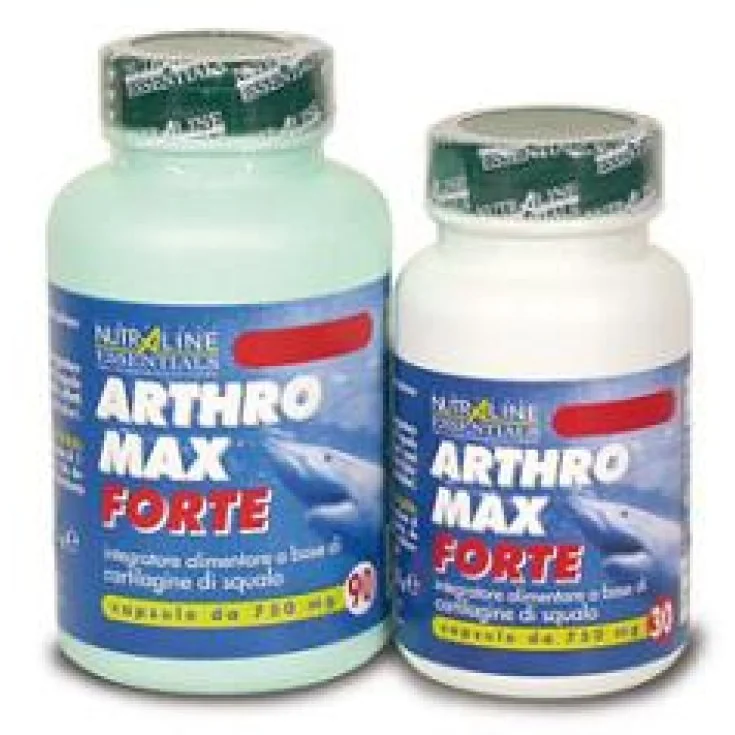 ARTHROMAX FORTE 90CPS