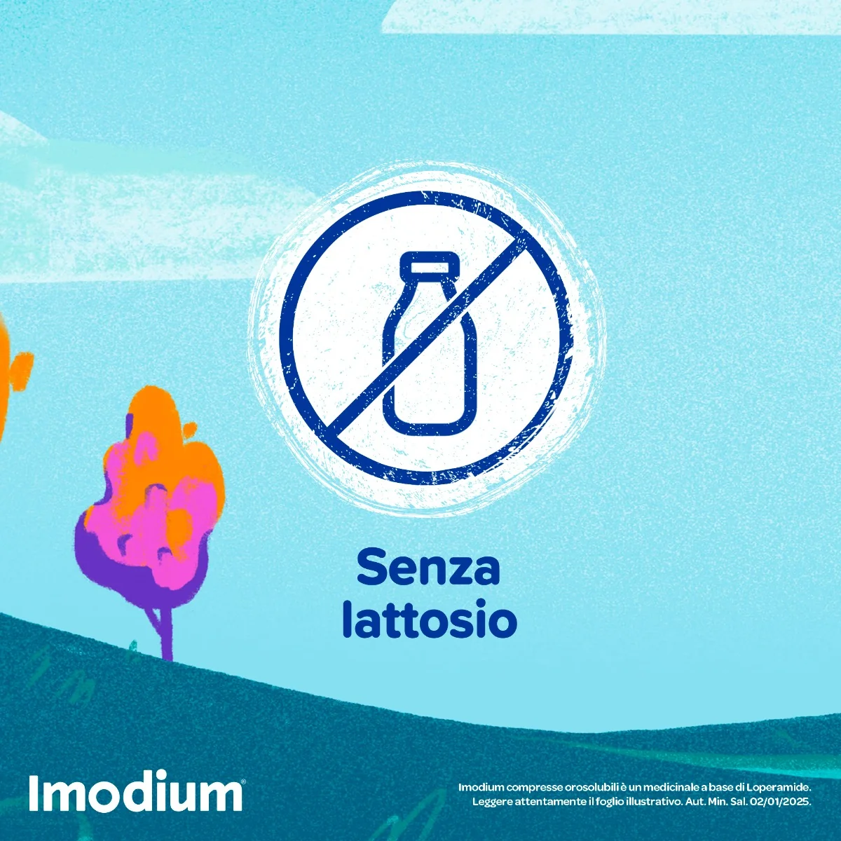 Imodium Diarrea Acuta 12 Compresse Orosolubili Per Intestino