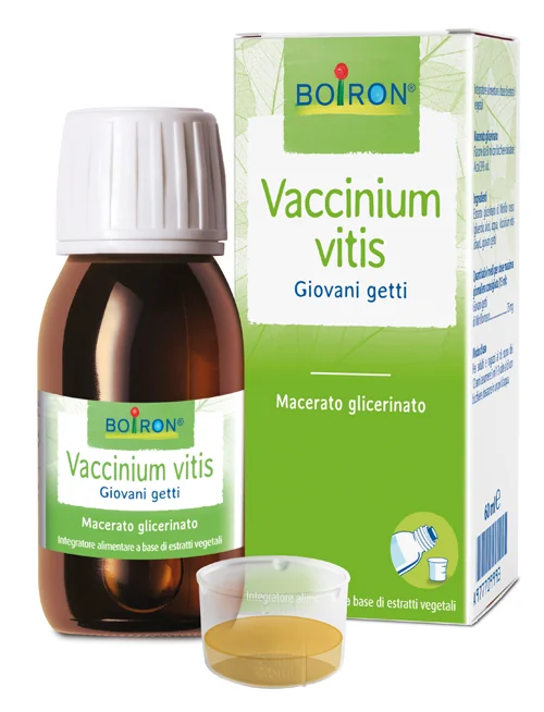 BOIRON VACCINIUM VITIS IDAEA MACERATO GLICERINATO 60 ML