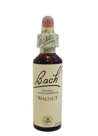 BACH CENTER ESS WALNUT 20ML