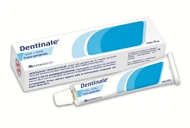 DENTINALE 0,5% + 0,5% AMILOCAINA SODIO BENZOATO 25 G