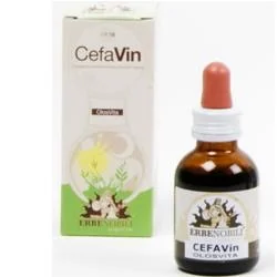 CEFAVIN OLOSVITA 5ML