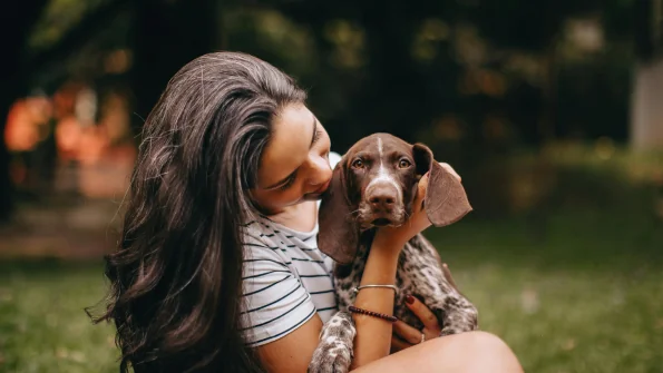 Leishmaniosi canina: prevenzione, cura e farmaci per proteggere il cane