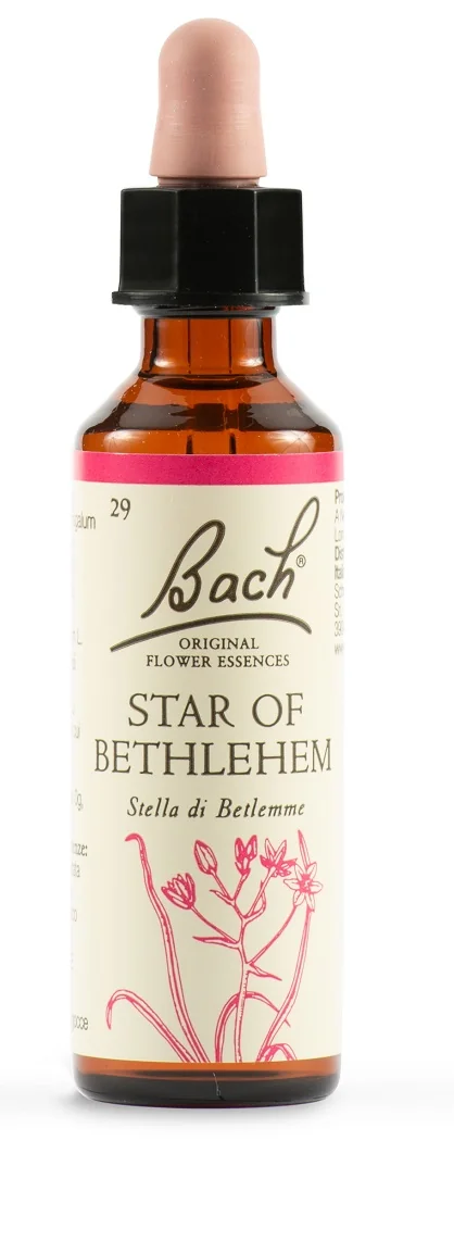 SCHWABE FIORI DI BACH 29 STAR OF BETHLEM GOCCE 20 ML