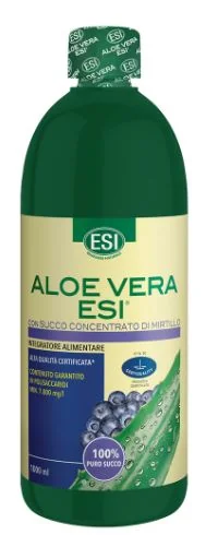 ESI ALOE VERA MIRTILLO 1000 ML