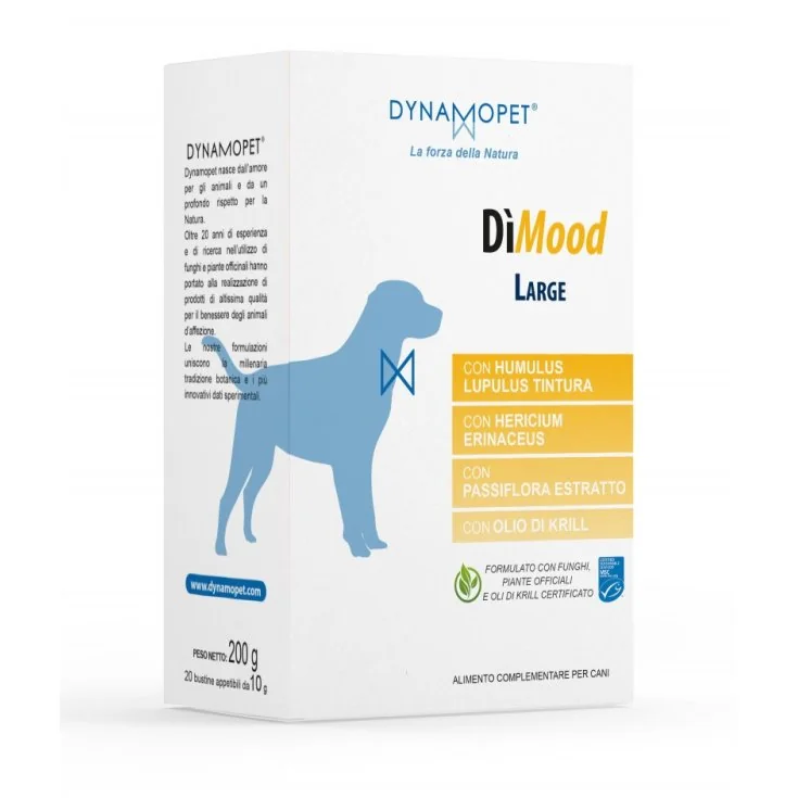 DIMOOD LARGE 2BUST 1G