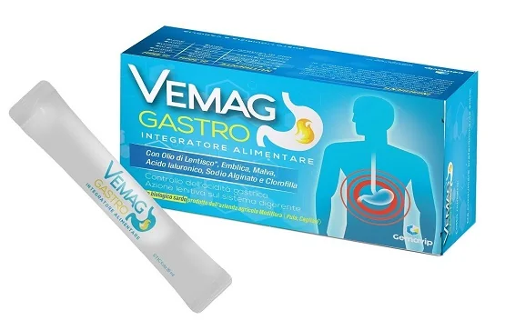 VEMAG GASTRO 2STICK