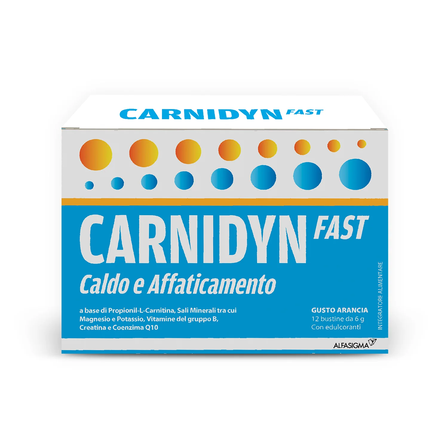 CARNIDYN FAST 12 BUSTINE