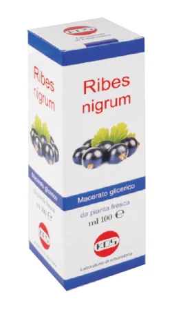 RIBES NIGRUM MG 100ML GTT