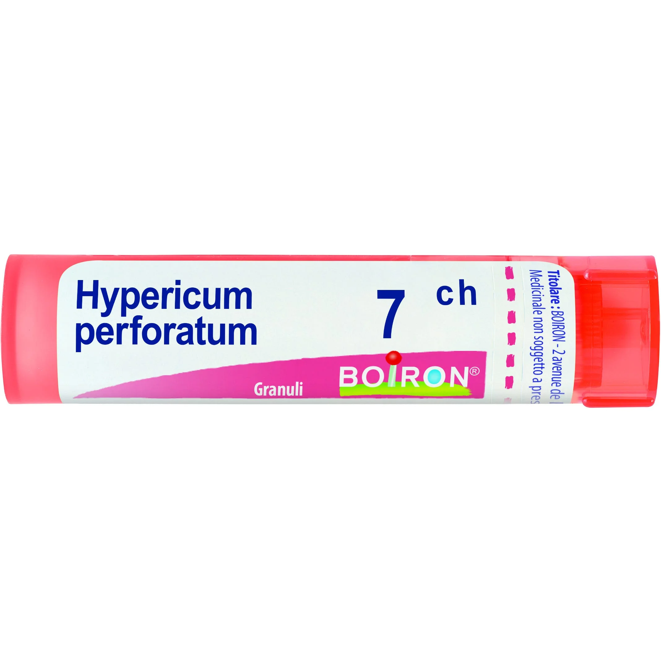 HYPERICUM PERFOR 7CH gr