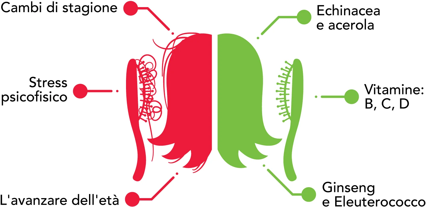 rimedi per caduta capelli