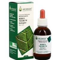 Ribes Nigrum Gd 33 Bio 100 ml