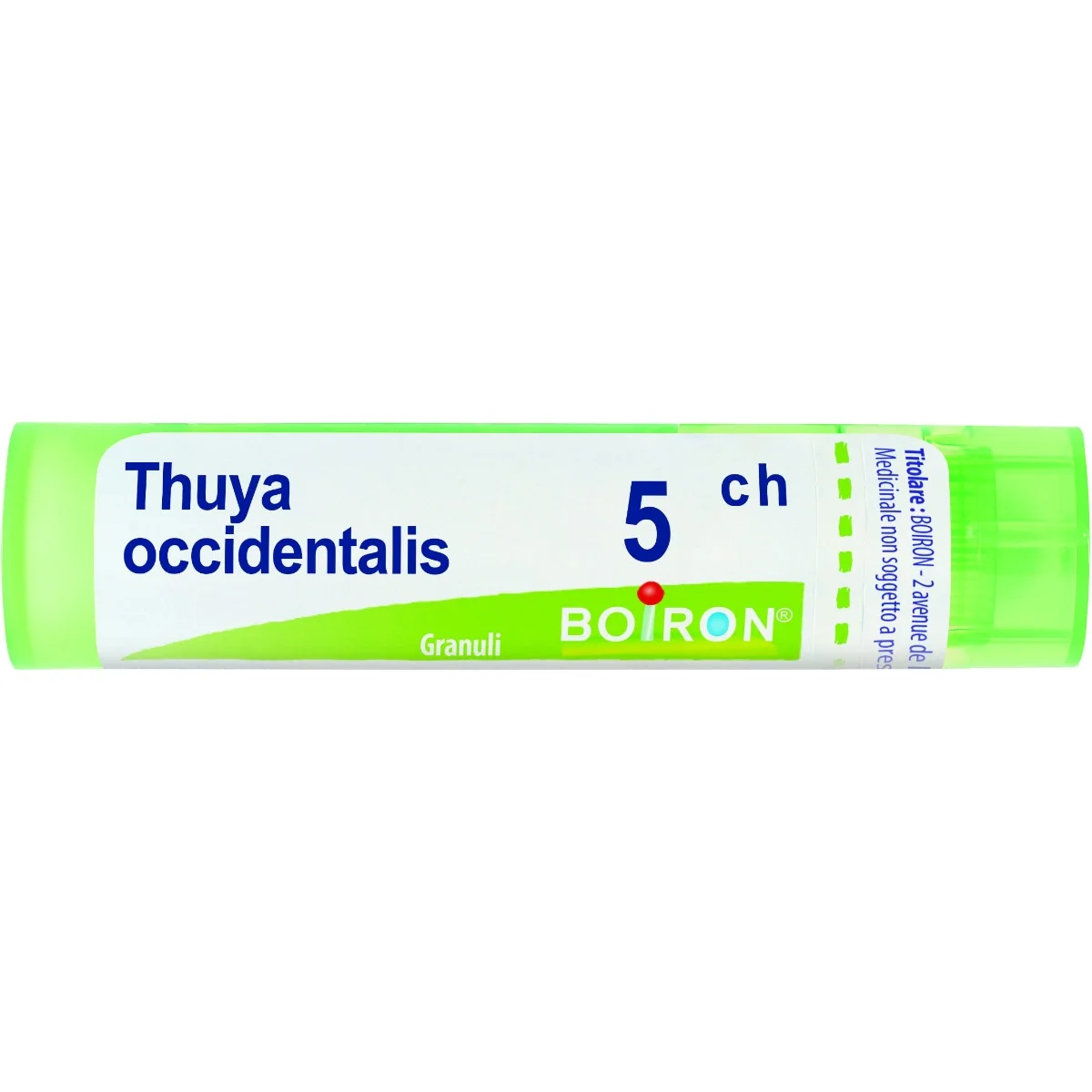 BOIRON THUYA OCCIDENT 5CH GRANULI