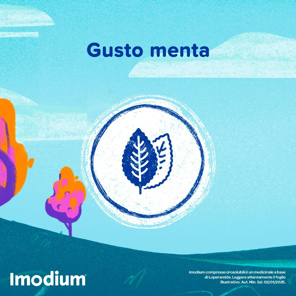 Imodium Diarrea Acuta 12 Compresse Orosolubili Per Intestino