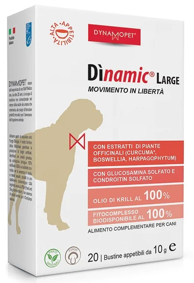 DINAMIC LARGE 2BUST 1G