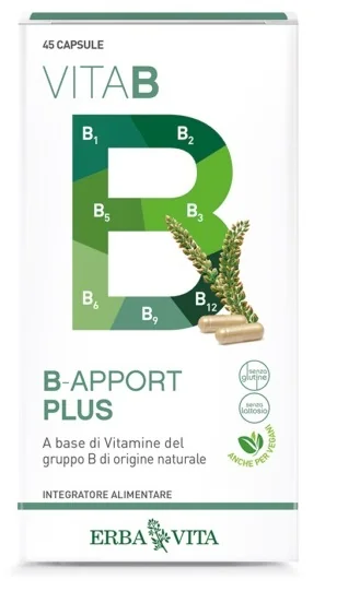 ERBA VITA B APPORT PLUS 45 CAPSULE