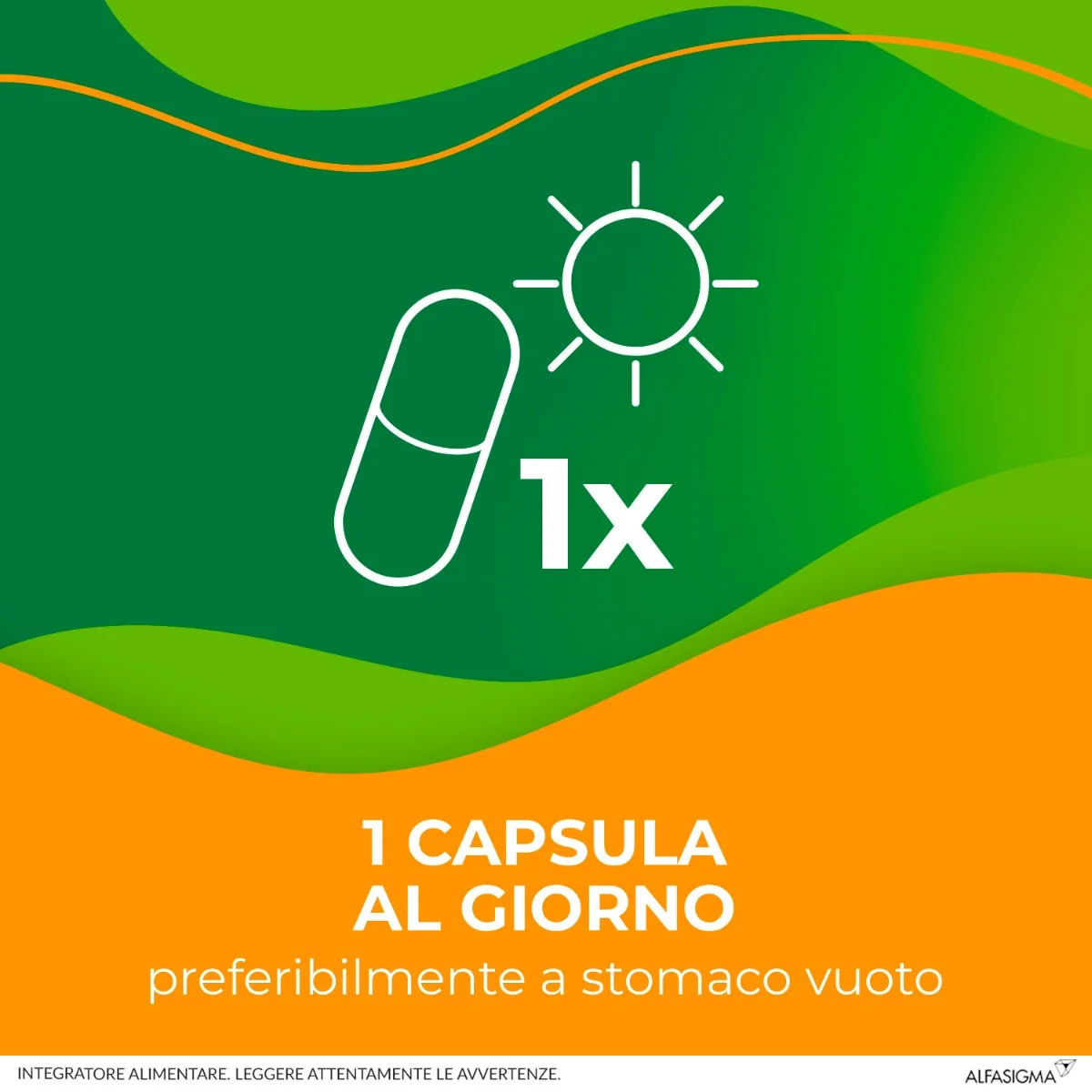 Enterolactis 20 Capsule 300Mg Integratore Fermenti Lattici Adulti Azione Probiotica