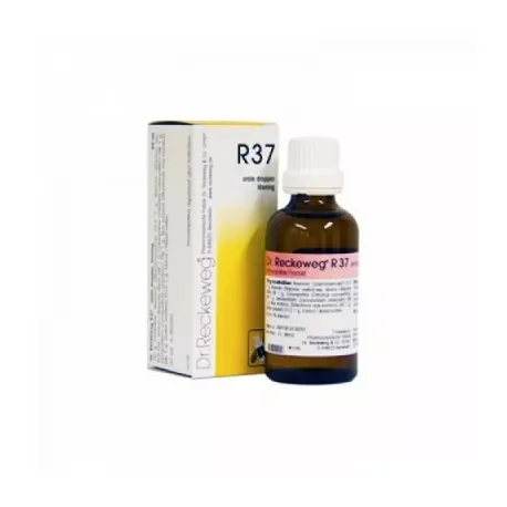 DR RECKEWEG R 37 GOCCE 22 ML