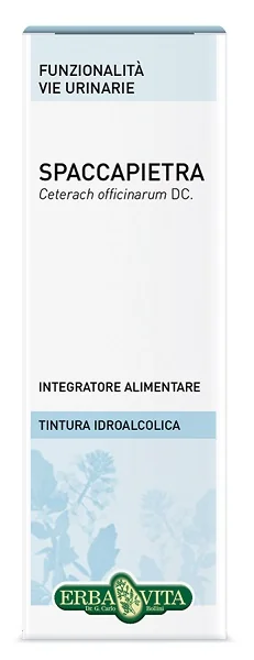 SPACCAPIETRA TINT IAL 50ML EBV