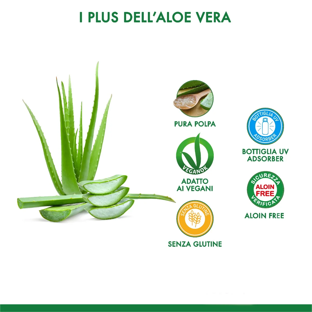 Equilibra Aloe Vera Digest Zenzero 1L Dermatologicamente Testato