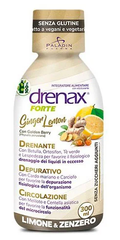 DRENAX FORTE GINGER LEMON300ML