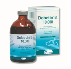 DOBETIN B1 10000 FL 100ML