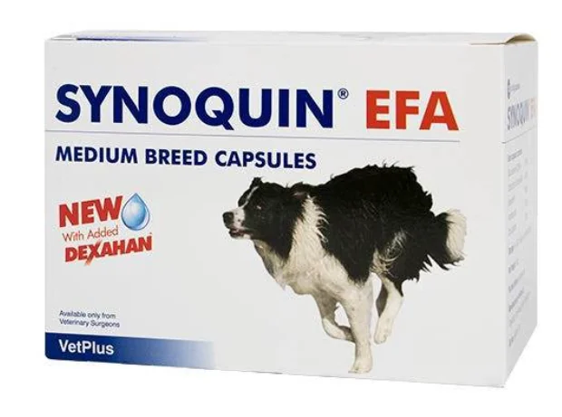 Synoquin Efa Medium Breed 30 Compresse 