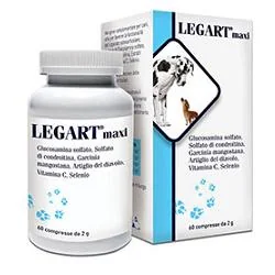 LEGART MAXI 60 COMPRESSE